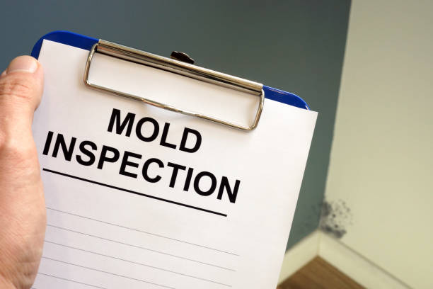 Best Air Quality Testing for Mold Spores  in Alvarado, TX